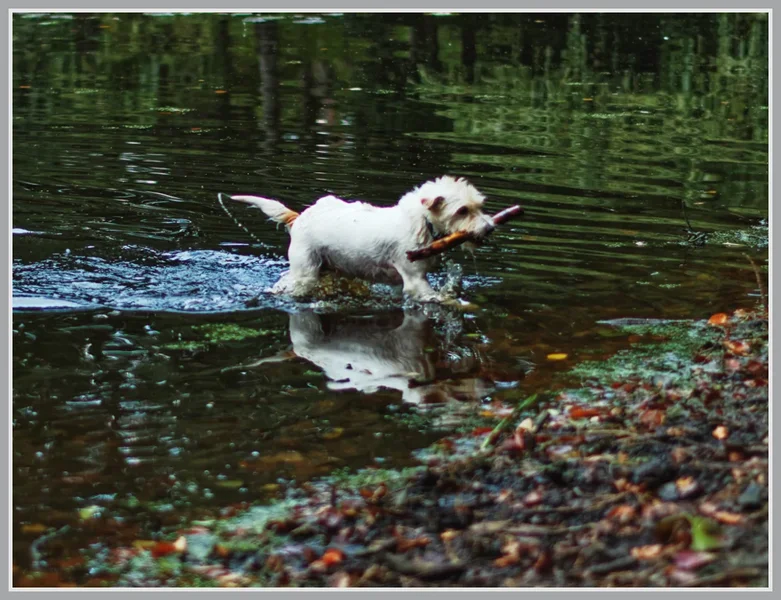 _small__IMG4856_1_DxO_DxO.JPG