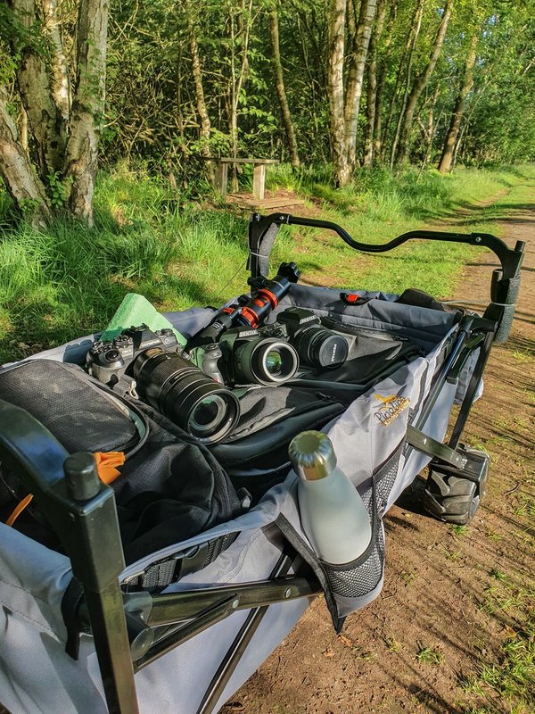 HM150621 CI20210615-20210615_192428.jpg