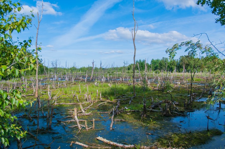 HM150621 CI20210615-IMGP9701.jpg