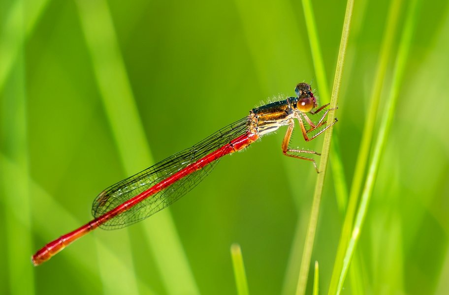 HM150621 CI20210615-P6150164.jpg