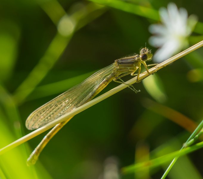 HM150621 CI20210615-P6150197.jpg