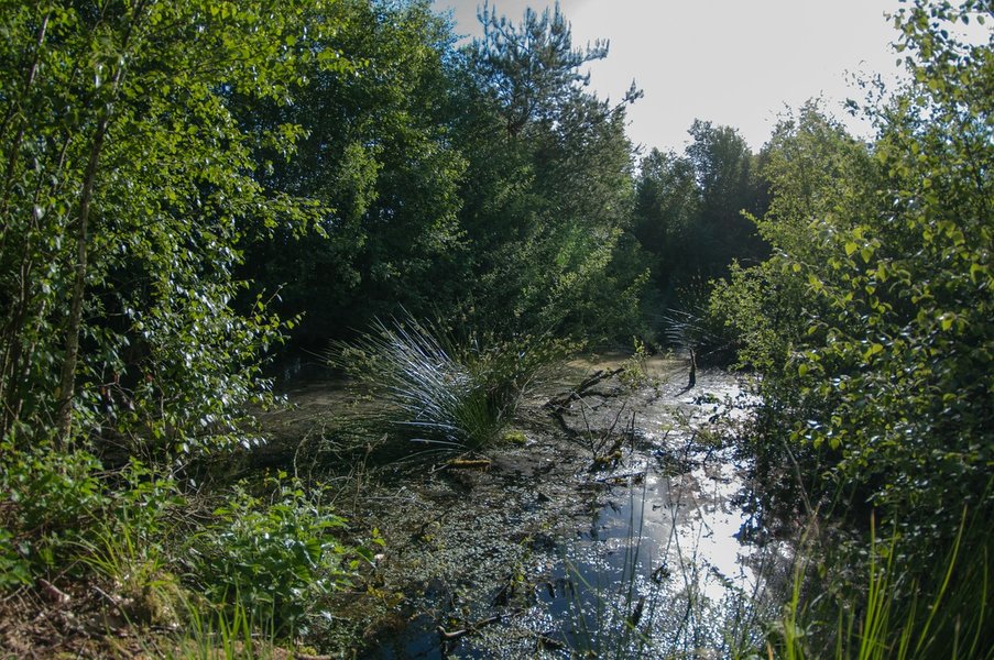 HM150621 CI20210615-IMGP9707.jpg