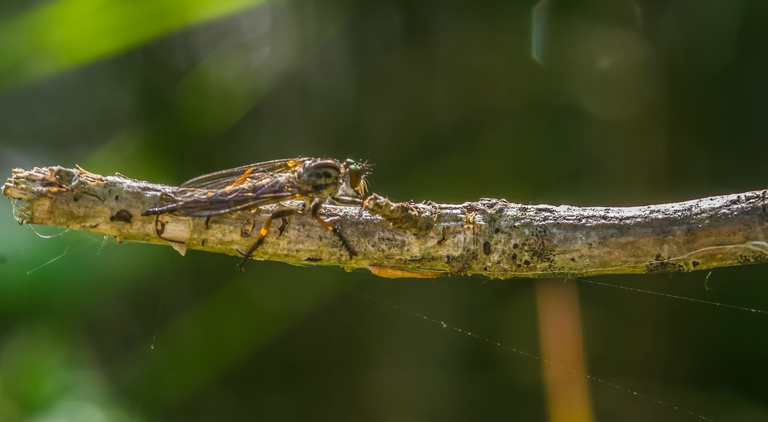 HM150621 CI20210615-IMGP6478-Bearbeitet.jpg