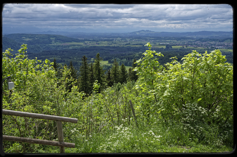 _IMG3502_DxO.jpg _IMG3502_DxO.jpg