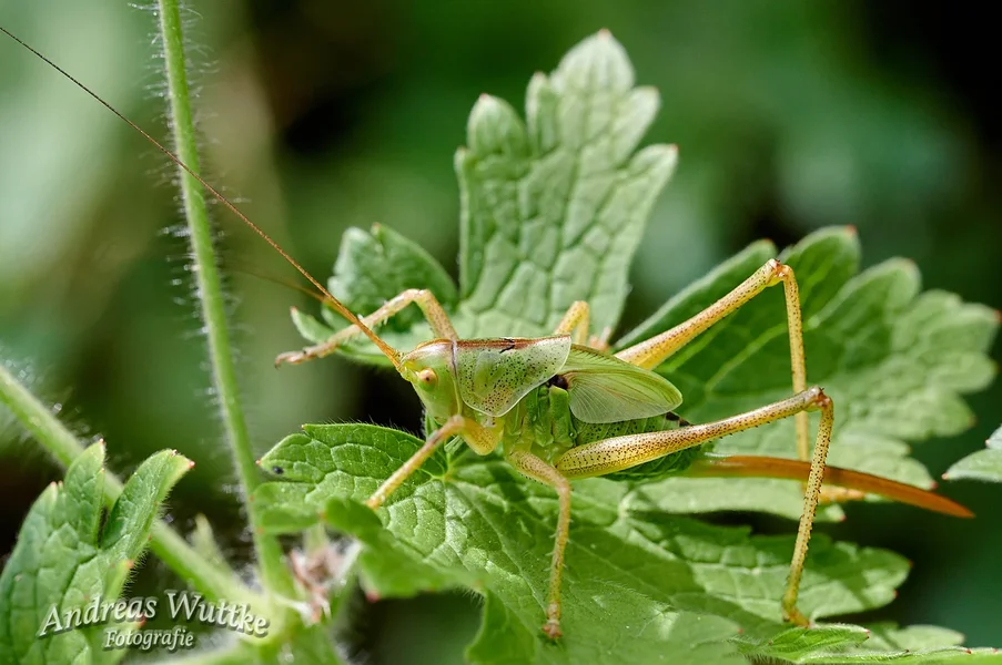 AZ6_0533_C1.webp