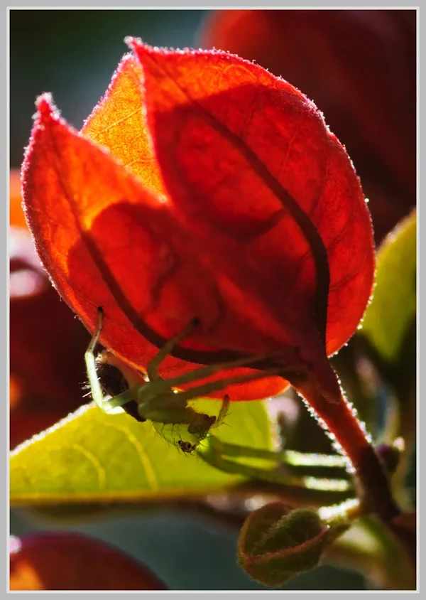 _small__IMG2160_1_DxO.webp
