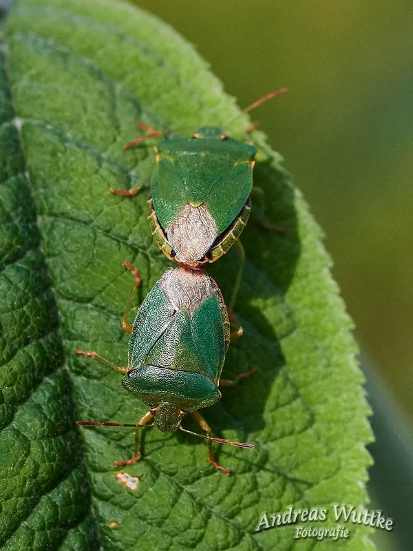 D75_4905_C1.webp