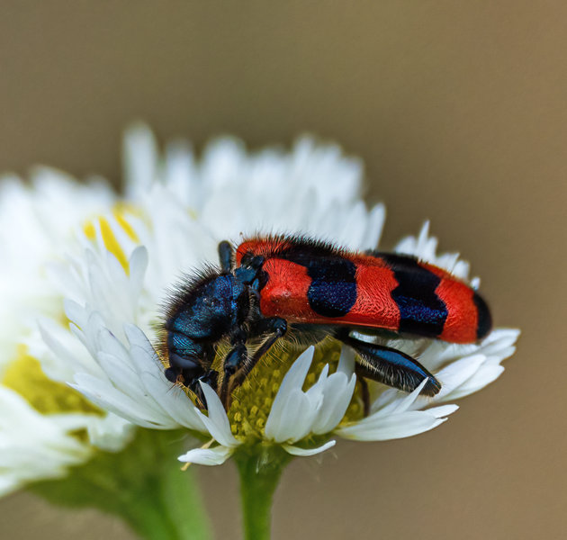 Kleintiere 2021-59-Bearbeitet-Bearbeitet.jpg