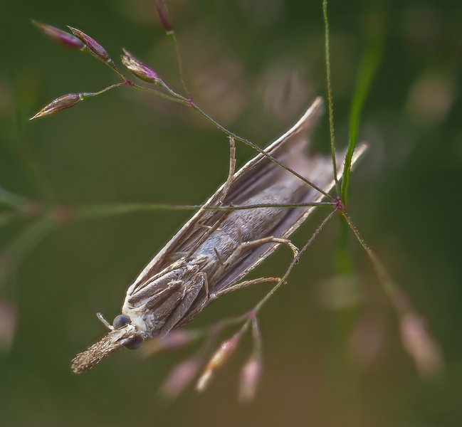 CIBH 220720210722-P7220399.jpg