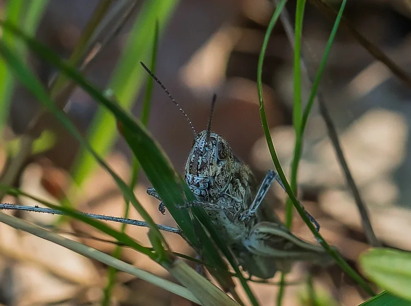 CIBH 220720210722-P7220462-Bearbeitet.webp