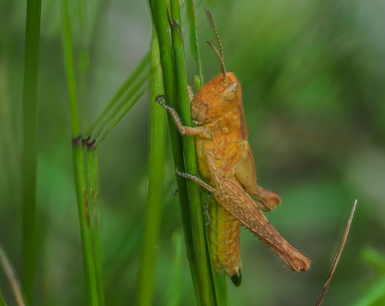 CIBH 220720210722-P7220552-Bearbeitet.jpg