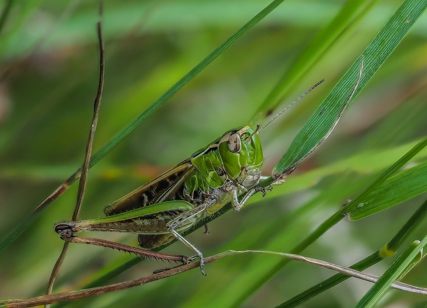 CIBH 220720210722-P7220565-Bearbeitet.jpg