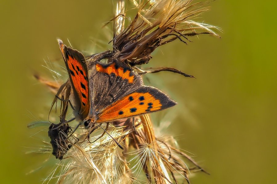 CIBH 220720210722-P7220632-Bearbeitet.jpg