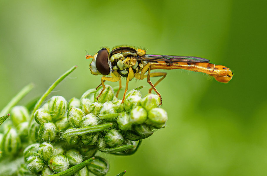 Kleintiere 2021-337-ORF_DxO_DeepPRIME-Bearbeitet.jpg