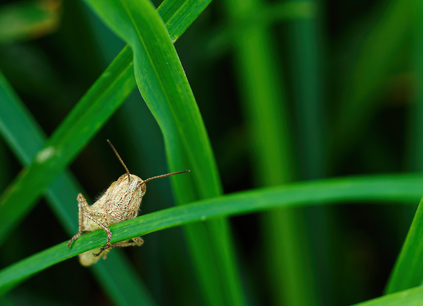 Kleintiere 2021-344-ORF_DxO_DeepPRIME-Bearbeitet.jpg