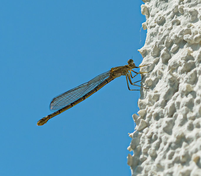 Kleintiere 2021-459-ORF_DxO_DeepPRIME-Bearbeitet.jpg