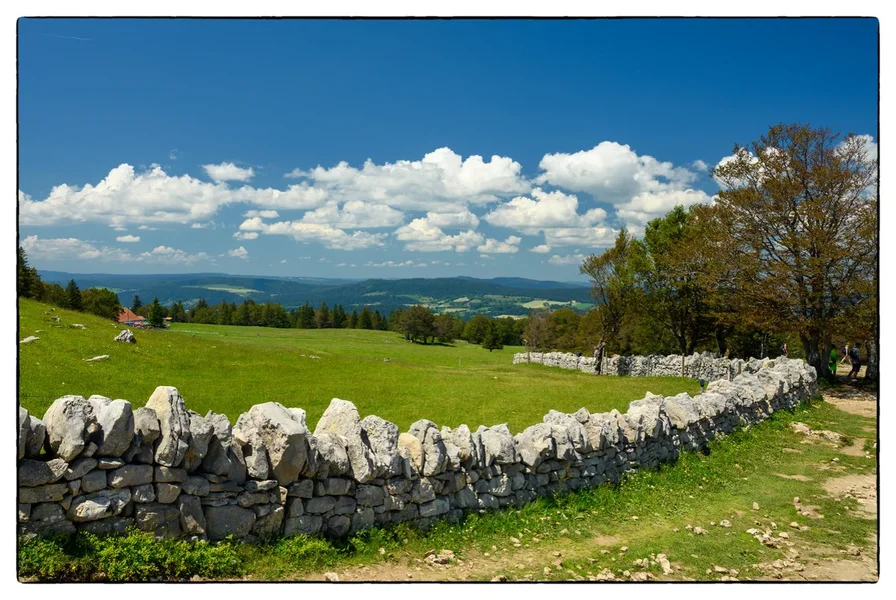 Trockenmauer.webp