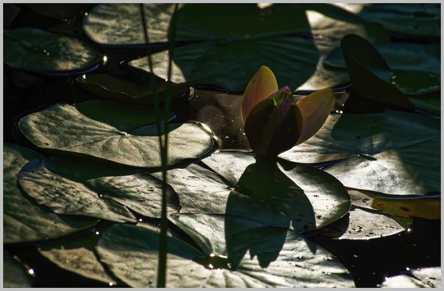 _small__IMG3405_1_DxO.webp