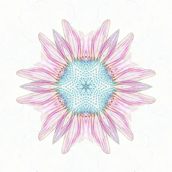 EchinaceamvielUmfeldnalerischSL2Si105Mac2EXTKAL4QUADRATGRAFIKHIDY_666x666.webp