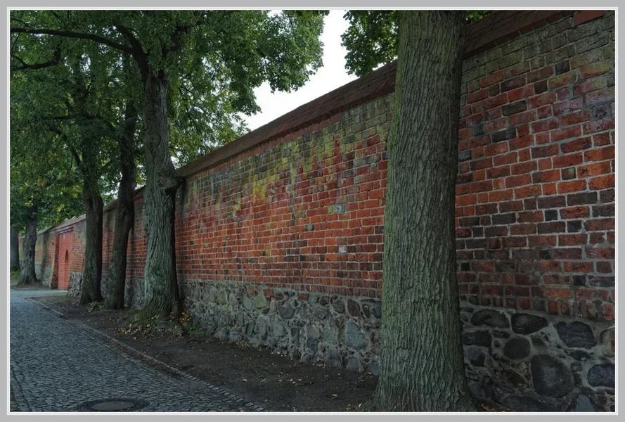 _small__IMG4261_1_DxO.webp