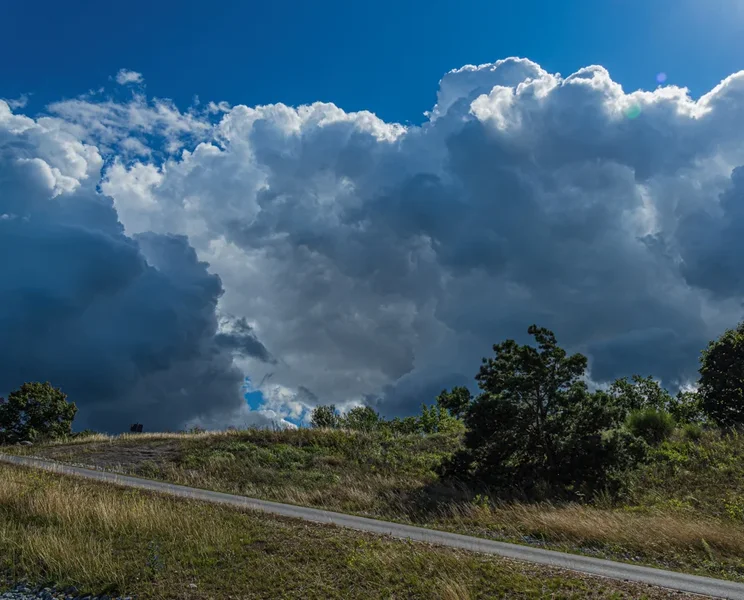 Sedlitz 2021-956-ORF_DxO_DeepPRIME-Bearbeitet.webp