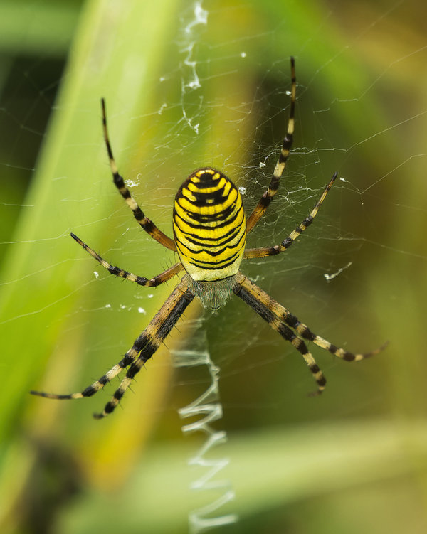 Kleintiere 2021-569-ORF_DxO_DeepPRIME-Bearbeitet.jpg