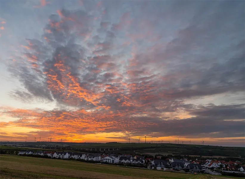 ci_A7301925.webp