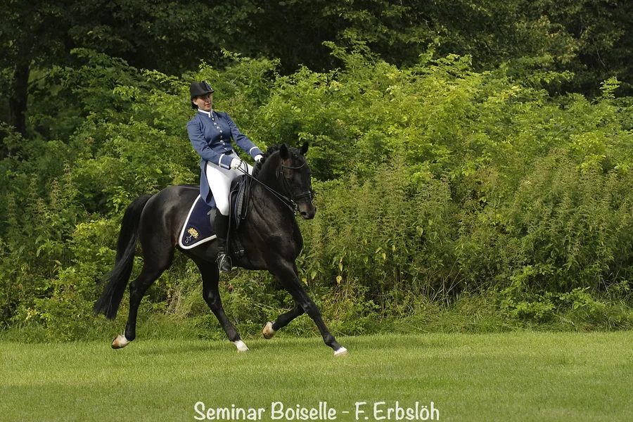_IMG2610_DxO.webp