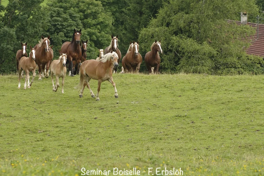 _IMG2948_DxO.webp