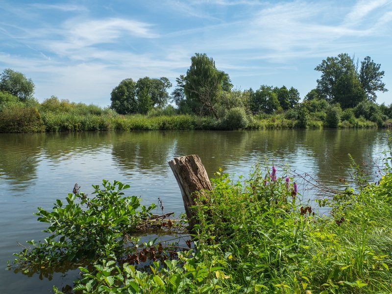 CI UR 2021P8150051.jpg