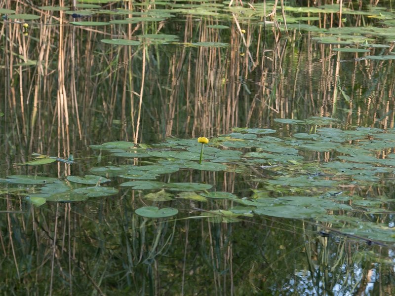 CI UR 2021P8210335.jpg