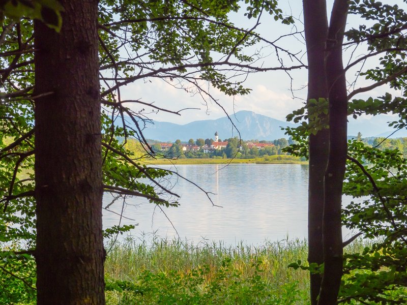 CI UR 2021P8210334.jpg