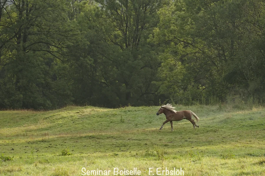 _IMG3910_DxO.webp