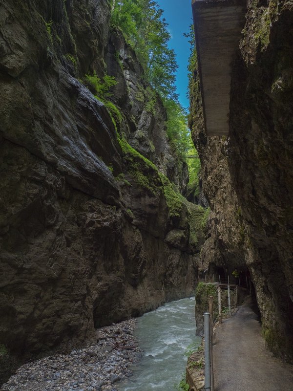 CI UR 2021P8190136.jpg