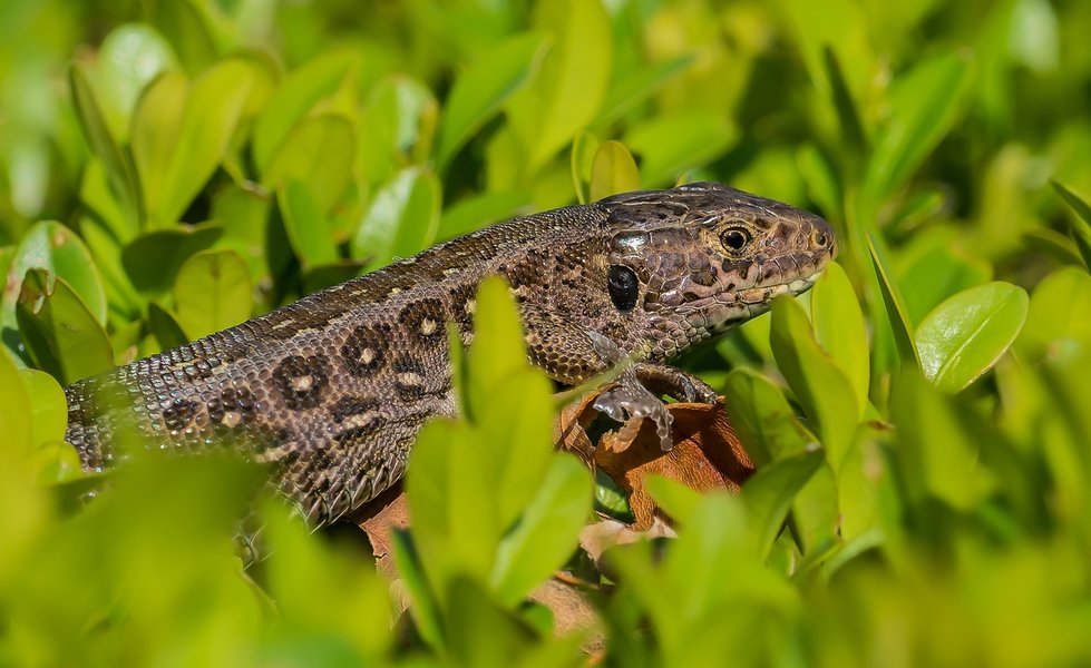 CI UR 2021P8180076-Bearbeitet.jpg