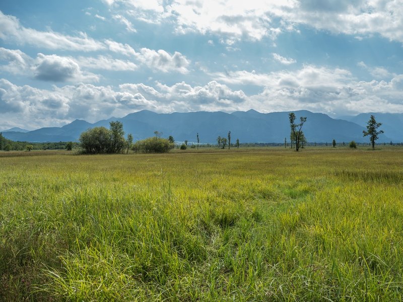 CI UR 2021P8200165.jpg