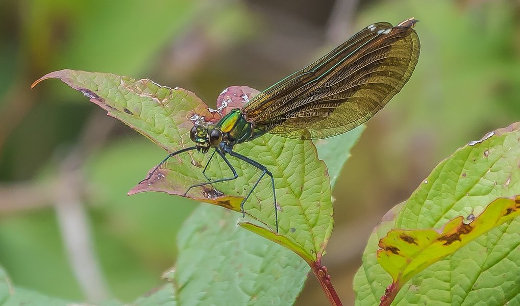 CI UR 2021P8200287-Bearbeitet.jpg