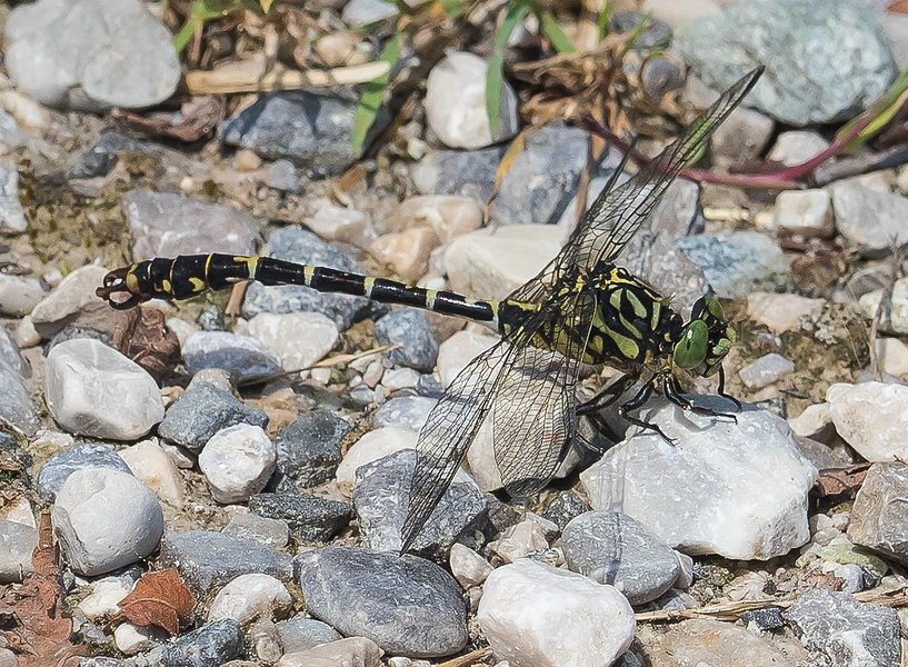 CI UR 2021P8200294-Bearbeitet.jpg