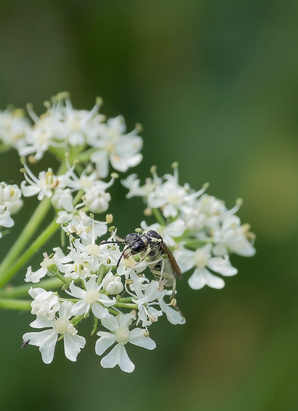 CI UR 2021P8200300-Bearbeitet.jpg