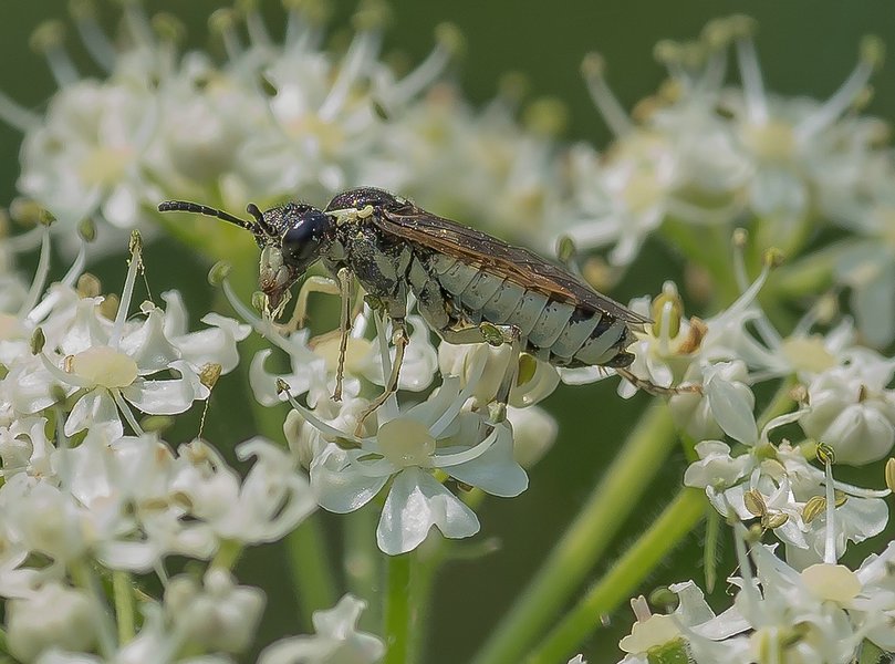 CI UR 2021P8200309-Bearbeitet.jpg