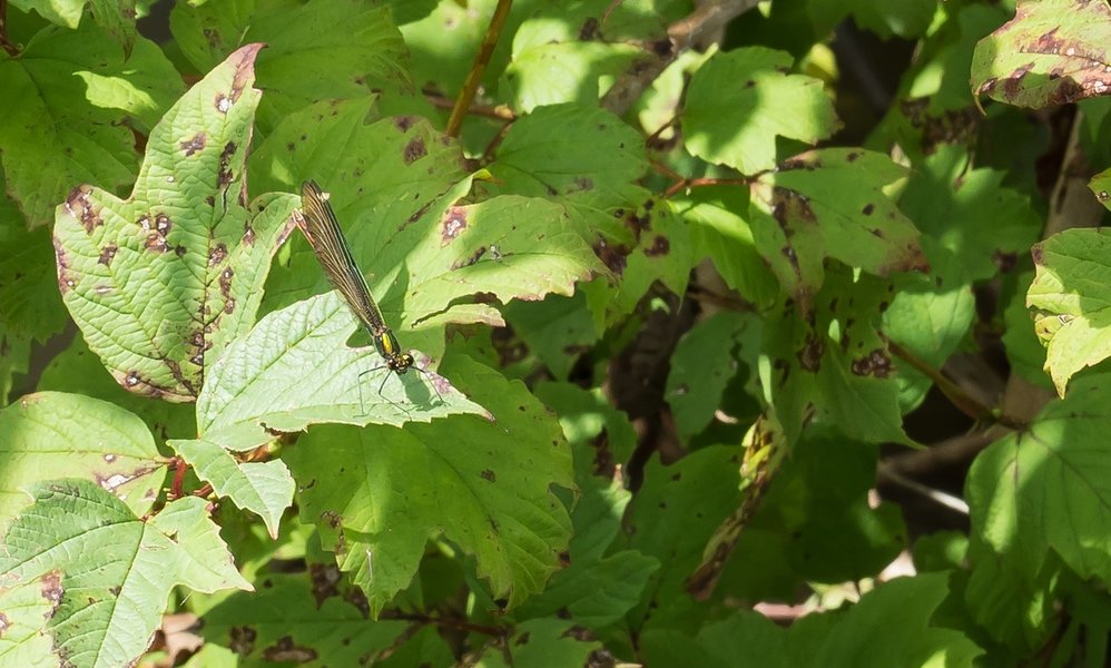 CI UR 2021P8200281.jpg