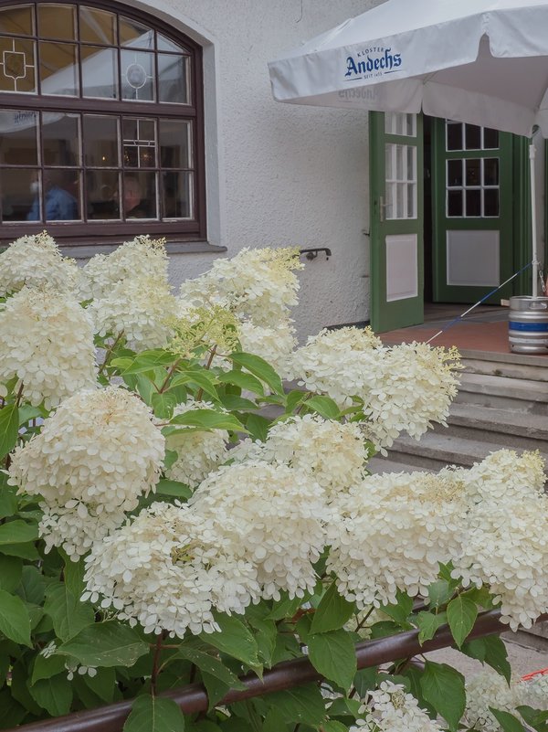 CI UR 2021P8220422.jpg