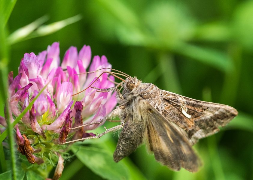 CI UR 2021P8250031-Bearbeitet.jpg