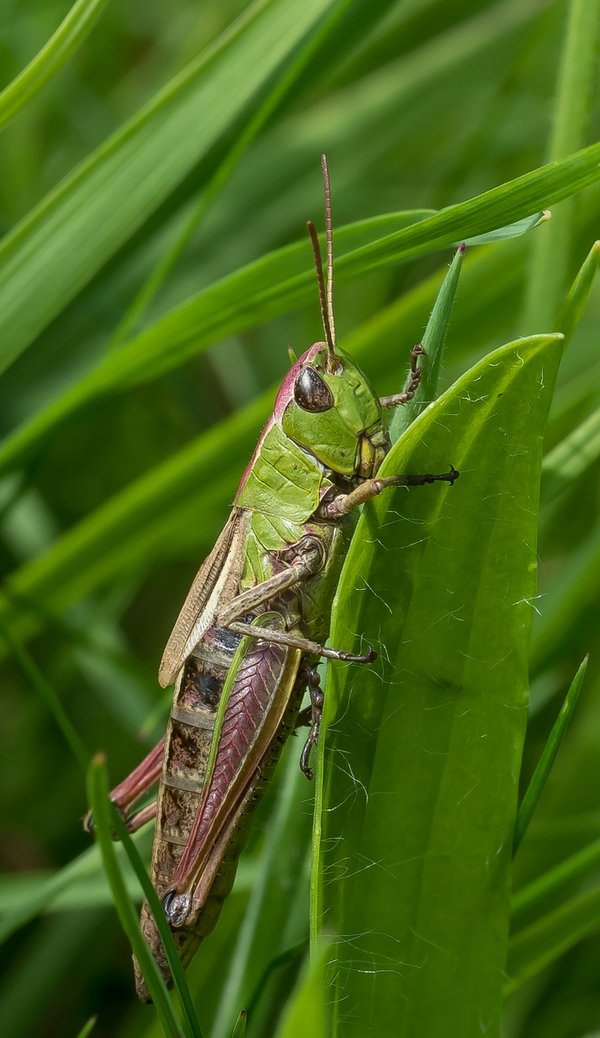 CI UR 2021P8250054.jpg