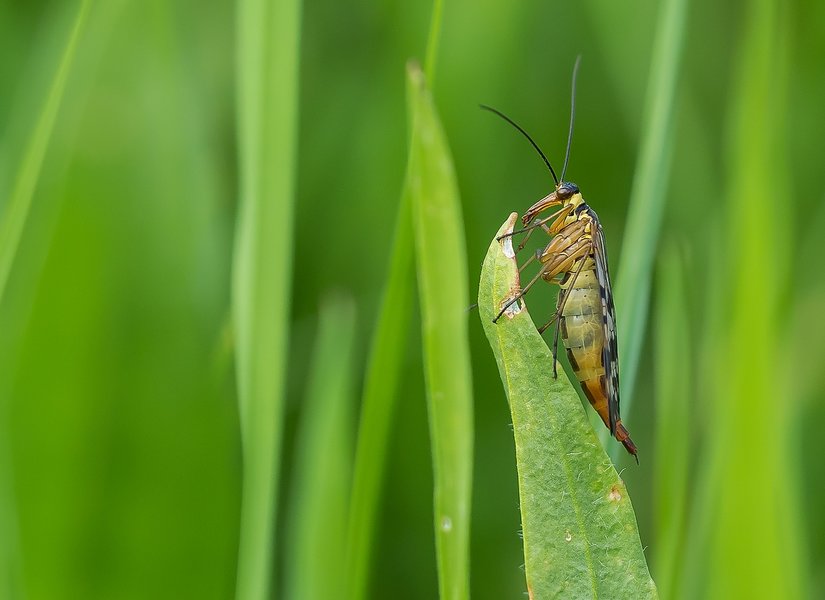 CI UR 2021P8250087-Bearbeitet.jpg