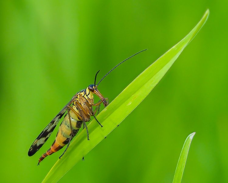 CI UR 2021P8250177-Bearbeitet.jpg