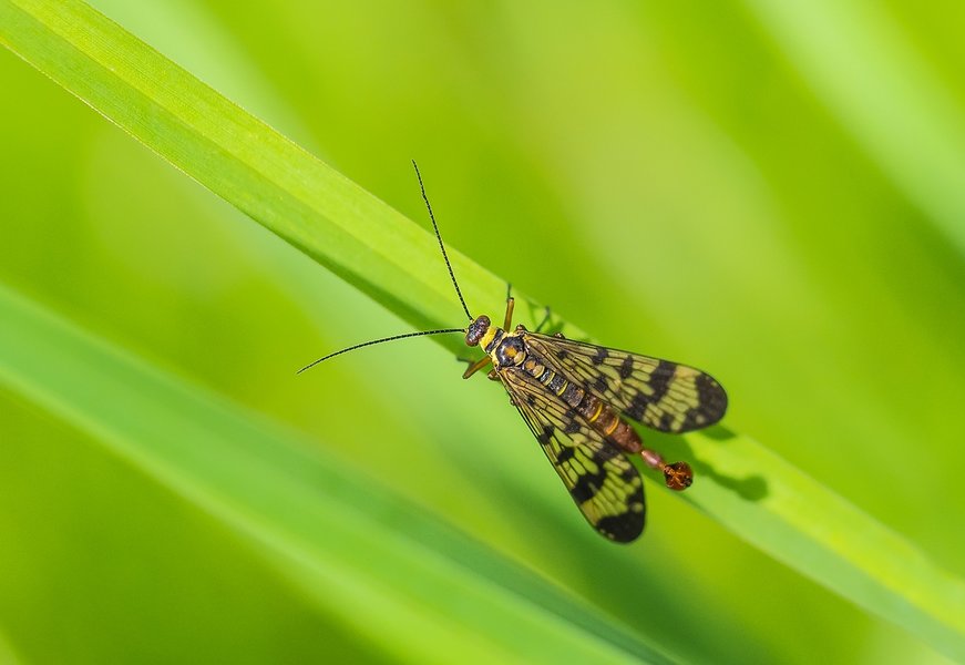 CI UR 2021P8250191-Bearbeitet.jpg