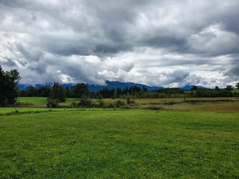 CI UR 202120210829-20210829_134904.jpg