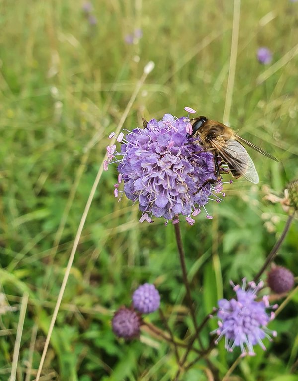 CI UR 202120210829-20210829_141558.jpg