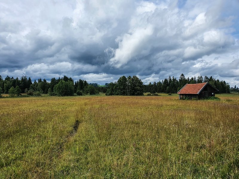 CI UR 202120210829-20210829_143214.jpg